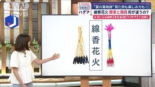 「夏の風物詩」線香花火　東西で実は違いが…見た目も楽しみ方も【スーパーJチャンネル】(2024年7月16日)