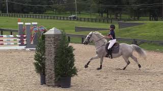 Ulano ridden by Sheila Sadighi | Zone Adult Championships | Round 2 8/25/18 PSJ