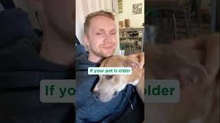 Is Pet Insurance Worth It
