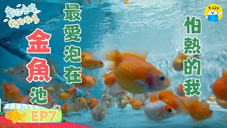 怕熱的我  最愛泡在金魚池🐠｜#歡迎光臨我的牧場 EP7▸▸ 13歲女孩的金魚場生活｜小公視