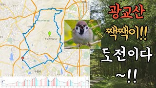 광교산 업힐 순환 자전거 코스 (경기대업힐-버들치고개-도마치고개-신봉터널-말구리고개-여우고개-하오고개-오메기고개-지지대고개)