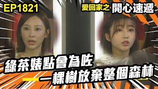 愛．回家之開心速遞 第1821集｜綠茶婊點會為咗一棵樹放棄整個森林｜處境喜劇｜港劇｜爆笑｜劇集｜愛情｜TVB港劇精華｜喜劇｜電視劇｜羅樂林｜劉丹｜林淑敏｜許家傑｜張景淳｜呂慧儀 ｜周嘉洛