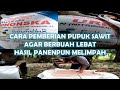 pupuk kelapa sawit agar berbuah lebat ~ pencampuran pupuk npk phonska dan urea untuk tanaman sawit