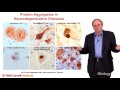 Neurodegenerative-related proteins (transglutaminase substrates) Gregory Petsko