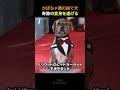 かぼちゃ頭の捨て犬奇跡の変身を遂げる