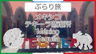 【メキシコぶらり】テキーラの蒸溜所