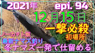 12月15日のナマズ釣り、初場所で絶好ポイント見つけ👀一発必中🎣😁