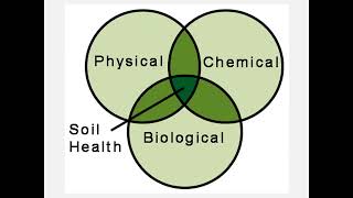 Maintaining High Tunnel Soil Productivity: What's the Problem?