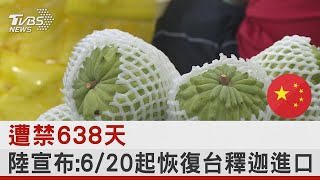 遭禁638天 陸宣布:6/20起恢復台釋迦進口｜TVBS新聞