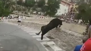 Shocking moment bull leaps over a wall with a 50ft drop behind it in front of screaming crowd