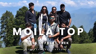 Moila Top | Best offbeat location Trek in Uttarakhand| Chakrata #moilatop #chakrata #uttarakhand