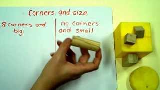 Sorting By Two Attributes Using 3D Objects