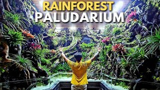 HIGHLIGHT PROSES PEMBUATAN RAINFOREST PALUDARIUM PGI !!!