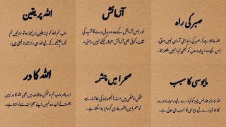 Islamic Quotes In Urdu | Best Urdu Quotes  | Urdu Quotes WhatsApp Status |