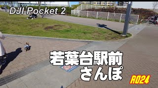 前の日、雨だったので土の少ない若葉台駅前の散歩です。【ランさんぽ】