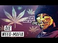 Weed-Mafia: Wie blutig ist unser Gras? | STRG_F EPIC