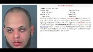 Florida S Most Wanted Hernando County