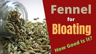 Fennel Seeds for Bloating and Gas - Good to Get Quick Relief!