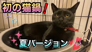 【紹介】初の猫鍋！ひんやりアルミ猫鍋ご紹介。うちの黒猫は入ってくれるのであろうか…