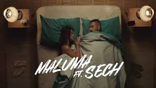 Maluma X Sech - Instinto Natural