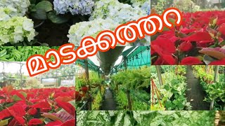 തൃശൂർ  മാടക്കത്തറ നഴ്സറി / indoor and outdoor plants/ nursery visit