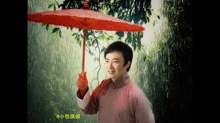 分不出是泪是雨 泪和雨忆起了你 泪的小雨 费玉清