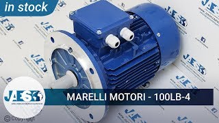 MARELLI MOTORI 100LB-4 (IN STOCK) Gear motor - Motoriduttore - МОТОРЕДУКТОР