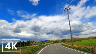 【4K車載動画】からっ風街道ドライブ 群馬県前橋市/Gunma Karakaze Kaido Drive