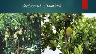 ಹಳ್ಳಿ ಪ್ರದೇಶಗಳಲ್ಲಿ ಮಾನವ-ಪ್ರಾಣಿ ಸಂಘರ್ಷದಲ್ಲಿ ಕಾಡಿನ ಪಾತ್ರ