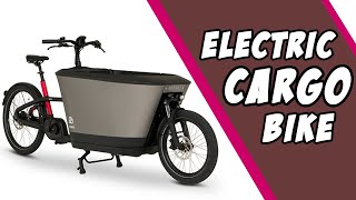 Best 5 Electric Cargo Bikes 2022