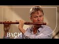 Bach - Flute Partita in A minor BWV 1013 - Root | Netherlands Bach Society