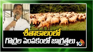 శీతాకాలంలో గొర్రెల పెంపకంలో జాగ్రత్తలు | Precautions for Sheep Farming in Winter Season | 10TV News