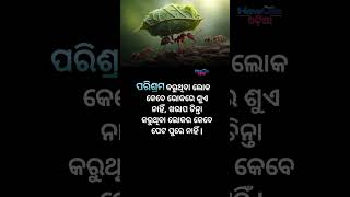 ପରିଶ୍ରମ କରୁଥିବା ଲୋକ || life quote #motivation #quotes #short