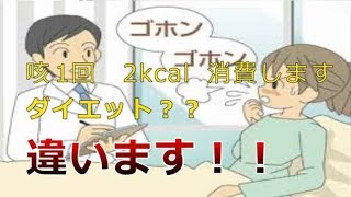 看護学生講座 297呼吸器｢咳のエネルギー消費量と基礎代謝量の関連｣