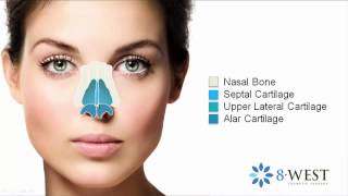 Nasal Anatomy for Rhinoplasty | Dr. Thomas Buonassisi, 8 West Clinic in Vancouver British Columbia