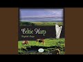 The Silkie (feat. Elena Bertuzzi & Lorenza Pollini)