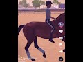 Equestrian The Game - Tik toks Part #1