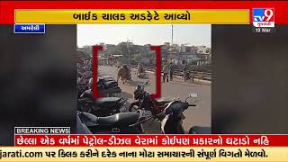 Bull fight on the busy road leaves commuters scared in Dhari,  Amreli |Gujarat |TV9GujaratiNews