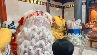 2月24日元宵节 美里大伯公庙舞狮表演#舞狮表演 #舞狮 #新年 #liondance #liondance2024 #大伯公庙 #元宵节 #元宵节2024 #元宵节快乐  #订阅按赞分享开启小铃铛