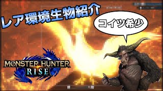 【ゆっくり】レア環境生物紹介【MHRise】