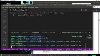1.3.3 Lab - Python Programming Review
