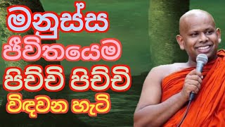 මනුස්ස ජීවිතයෙම පිච්චි පිච්චි විඳවන හැටි /ven welimada saddaseela thero /සද්ධාසීල හිමි