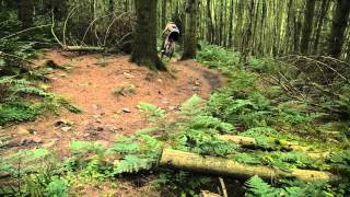 Midlands XC Series 2013, Round 6 Eastridge