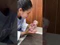 Welcome NewBorn Monkey A Tong