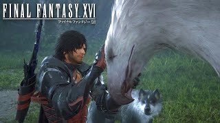 モフモフに好かれまくる男｜FF16  #12