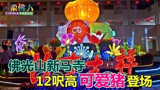 佛光山新马寺春节啟灯仪式 12呎高可爱猪登场