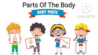 Parts Of The Body | Human Body Parts | Sense Organs | Body Parts For Kids  | Body Parts Vocabulary