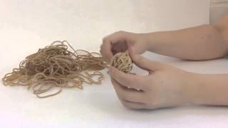 Elastic Bands 5 - Fine Art Year 1 (Project 2)