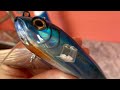 Nomad Flying Fish Lure Review #lure #review #fishing #saltwaterfishing #salt  #sportfishing #water