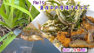 婚姻色のウグイ(ハヤ)とヤブカンゾウを唐揚げと天ぷらにして食べたよ